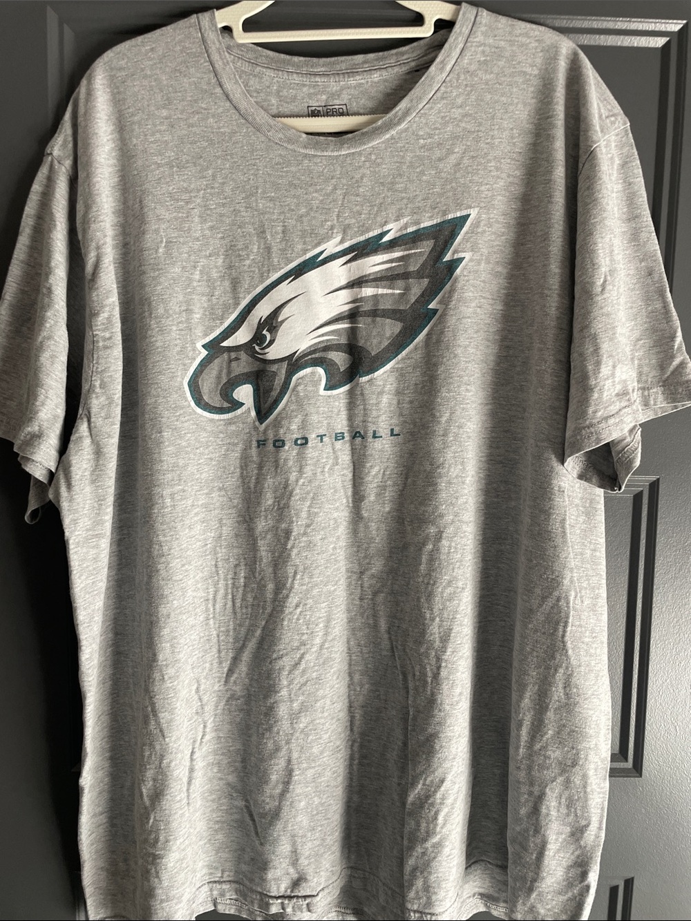Philadelphia Eagles Gray Graphic Tee - NFL Team Shirt
